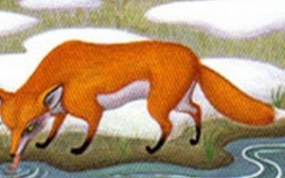 Lenormand kombinacije: Oblaci + Lisica