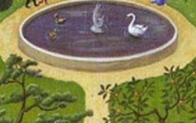 Lenormand kombinacije: Oblaci + Vrt