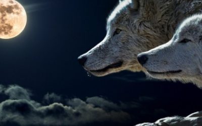 Mjesec i njegovi čvorovi