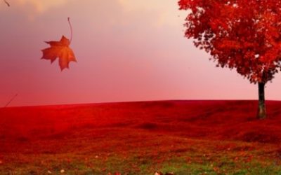 Ultimatumi ili kako uništiti vezu u jednoj rečenici