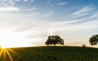 Dani svjetla ili zraka