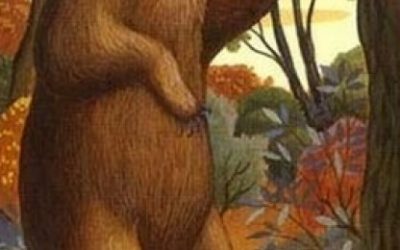 Lenormand kombinacije: Zmija + Medvjed