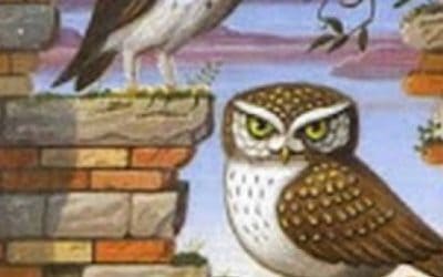 Lenormand kombinacije: Zmija + Ptice