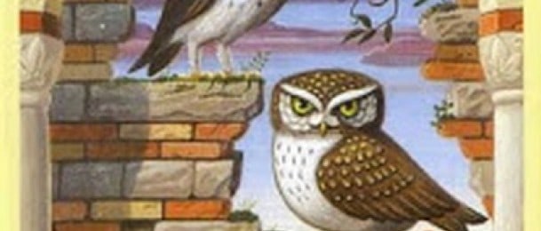 Lenormand kombinacije: Zmija + Ptice