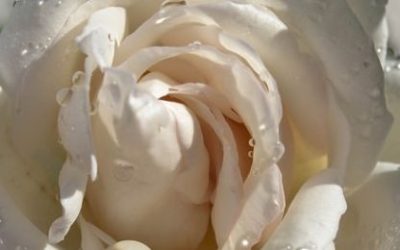 Bijela boja u astrologiji – čistoća i nevinost