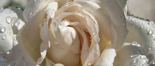 Bijela boja u astrologiji - čistoća i nevinost