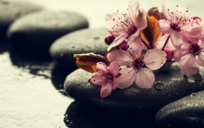 Zalijevanje sobnog bilja