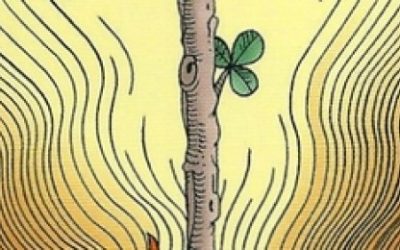 Karta tjedna (29.6. – 5.7.2018.) – As novčića