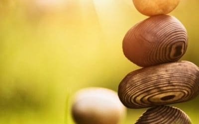 Četiri životna cilja