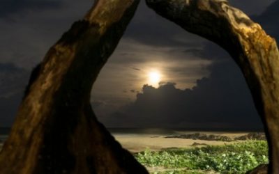 Istodobna smislenost