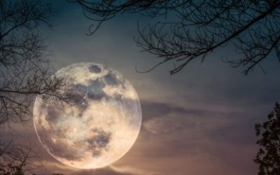 Vremeplov s mjesecom