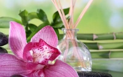 Cvijeće i biljke povezane s Mjesecom.