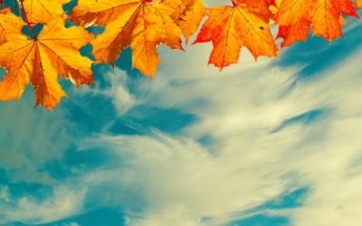 Ljekovito bilje i mirisi vezani uz Mjesec su