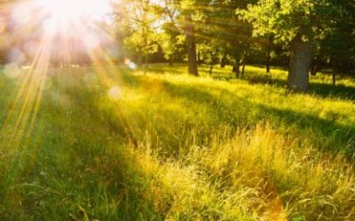 Gatanje iz kave – značenje simbola H