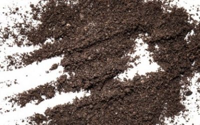 Gatanje iz kave – značenje simbola