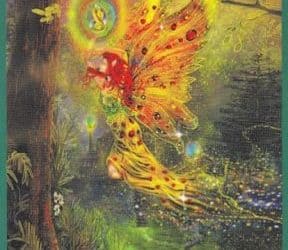 Anđeoski tarot – Dvojka Zemlje