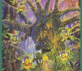 Anđeoski tarot – Sedmica Zemlje