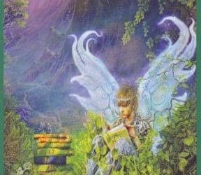 Anđeoski tarot – Osmica Zemlje