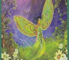 Anđeoski tarot – Devetka Zemlje