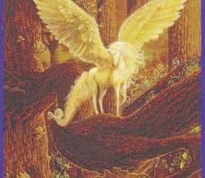 Anđeoski tarot – As Zraka