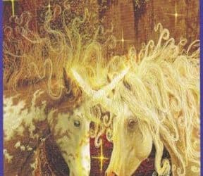 Anđeoski tarot – Dvojka Zraka