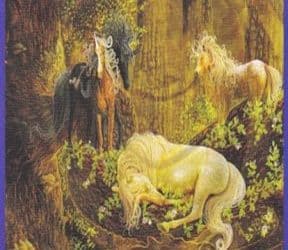 Anđeoski tarot – Četvorka Zraka