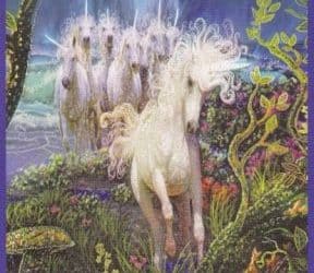 Anđeoski tarot – Osmica Zraka