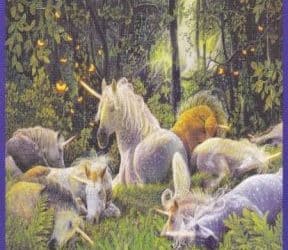 Anđeoski tarot – Devetka Zraka
