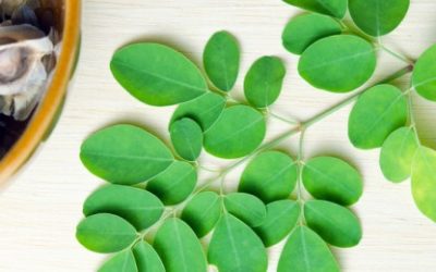 Biljka koja budi ljubavni život