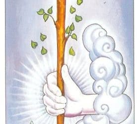 Značenje tarot karte As štapova