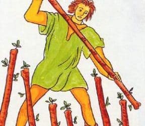 Značenje tarot karte Sedmica štapova