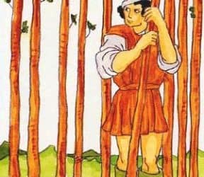 Značenje tarot karte Devetka štapova