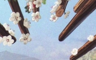 Elementi i tarot – Osmica štapova