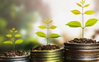 Najbolje tarot karte za novac