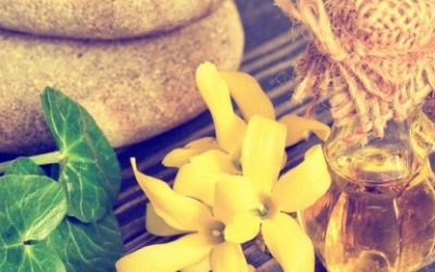 Prirodni lijek za trombozu