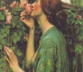 Karta Anđela ljubavi – privlačenje