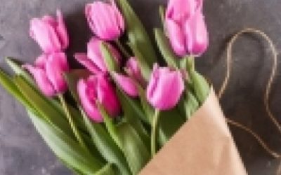 Broj osobne godine 8 – izazovi, sudbina
