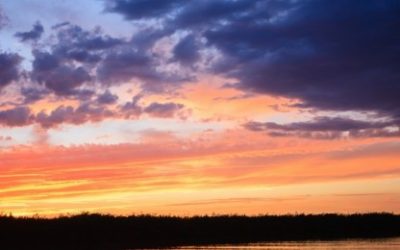 Kad nestane ljubavi: Najbolje lekcije onih koji su preživjeli ljubavni brodolom