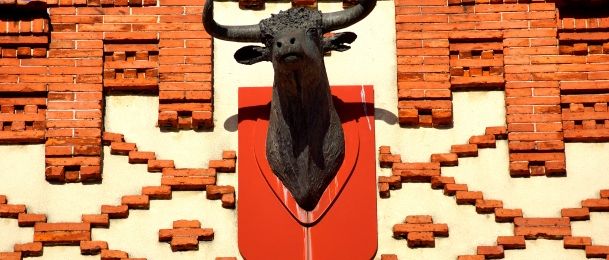 Slavne ženske osobe u znaku bika