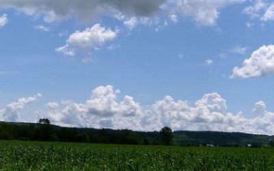 Sanjarica za slovo O