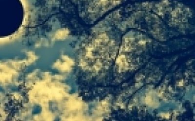 Bizarne smrti: Života ih koštale koza, hrčak i pijetao
