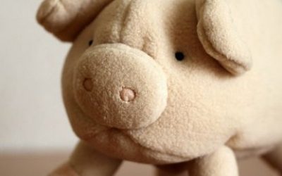 Svinja – značenje svinje u kineskom horoskopu