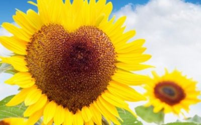 Menopauza – kako si pomoći