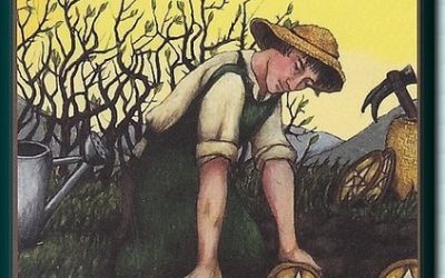 Elementi i tarot – Sedmica diskova