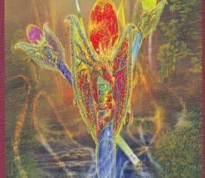 Anđeoski tarot – Osmica Vatre
