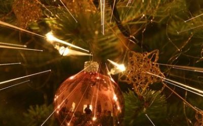 Stres i blagdani – Lav i Djevica