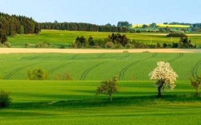 Život na selu – za i protiv