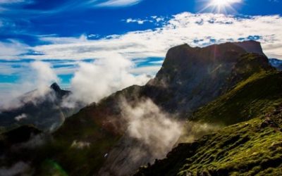Chi u vrtu – univerzalna energija – stijene
