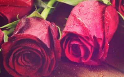 Pokloni koje je najbolje vratiti