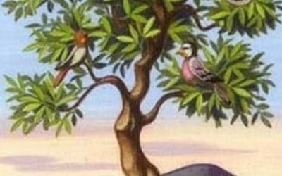 Lenormand kombinacije: Stablo + Miševi